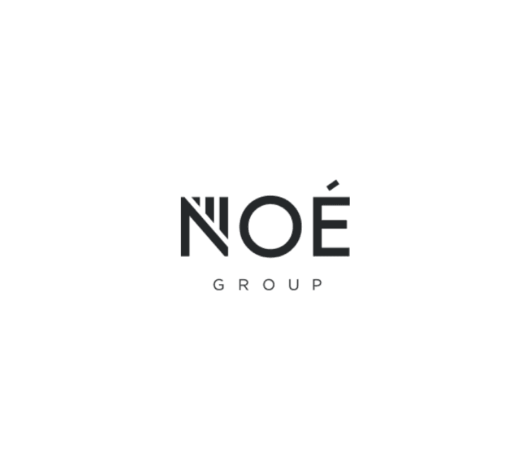Noe group logo